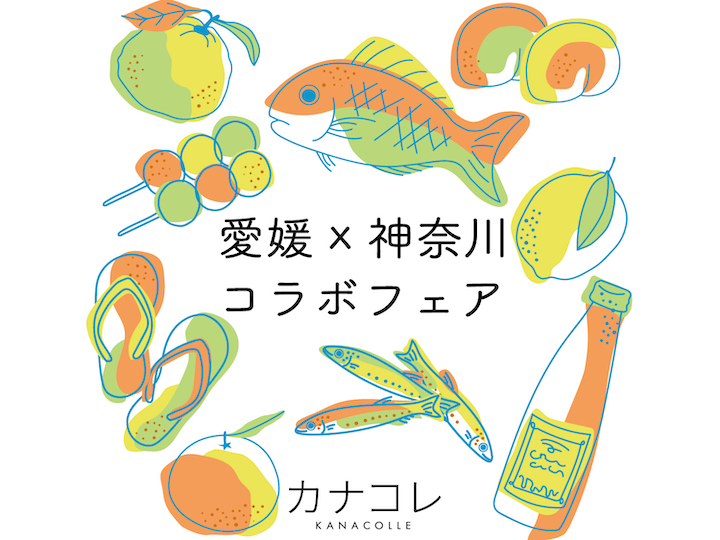 愛媛